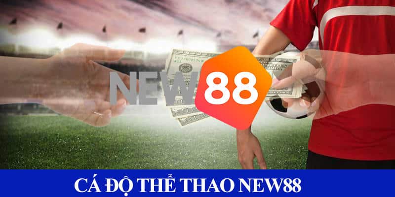 Cá cược thể thao được giới thiệu tại New88