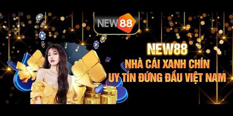 Điều khoản điều kiện về cá cược tại New88