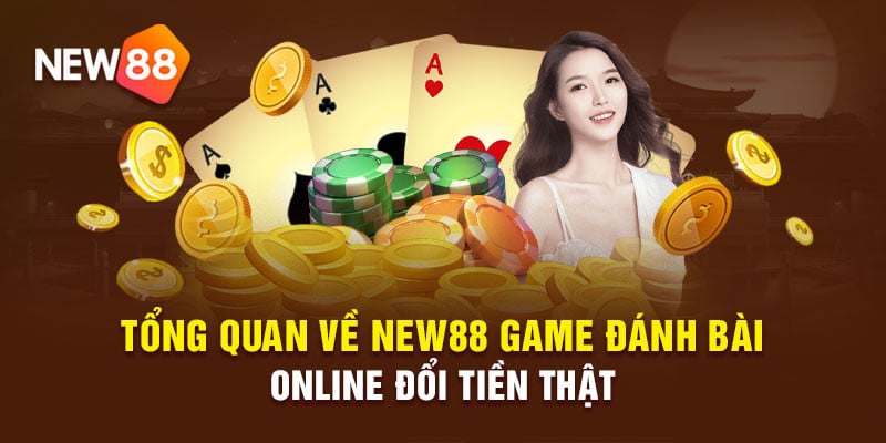 Tổng quan về điều khoản điều kiện của New88