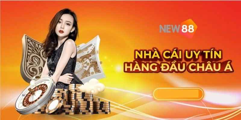 Mô tả cơ bản về chính sách miễn trách nhiệm tại New88