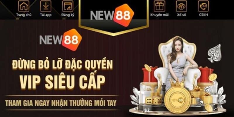 Điều gì tạo nên danh tiếng cho nhà cáo New88